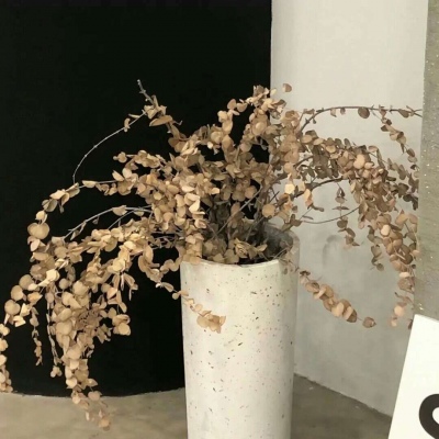 Furry绘画工具推荐FurryQQ群